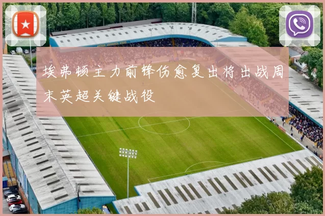 埃弗顿主力前锋伤愈复出将出战周末英超关键战役