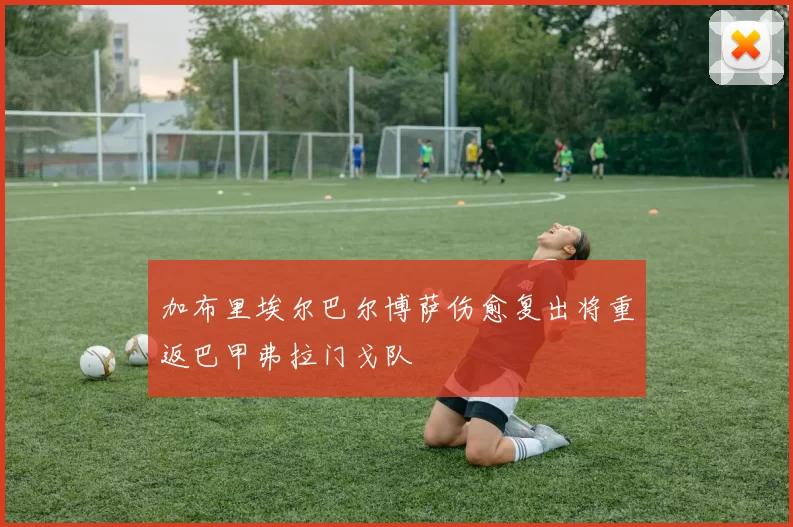 加布里埃尔巴尔博萨伤愈复出将重返巴甲弗拉门戈队