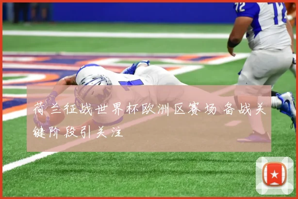 荷兰征战世界杯欧洲区赛场 备战关键阶段引关注