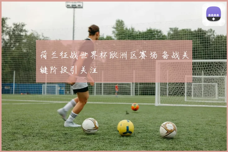 荷兰征战世界杯欧洲区赛场 备战关键阶段引关注