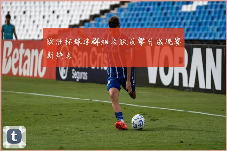 欧洲杯球迷群组活跃度攀升成观赛新热点